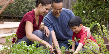 Porodični vrt – ideje za uređenje
