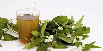 Čaj od koprive - rješenje za brojne zdravstvene tegobe