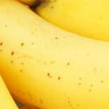 Banana je rješenje za mnoge probleme: 26 razloga da se redovno sladite ovom voćkom!