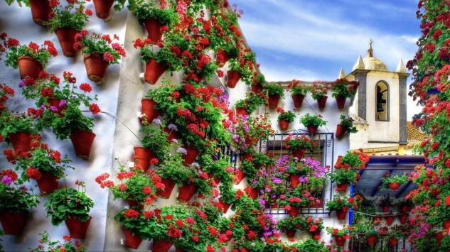 Cvijeće u žardinjerama i viseći vrtovi učiniće vaš balkon jedinstvenim!