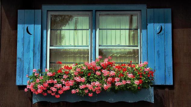 Oživite prozore cvijećem