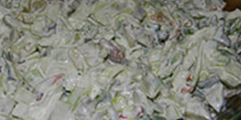 Brza salata