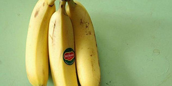 3 napitka od banane koji otapaju masne jastučiće [Recepti]