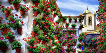 Cvijeće u žardinjerama i viseći vrtovi učiniće vaš balkon jedinstvenim!