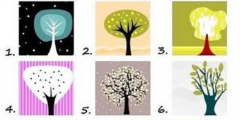 Stablo koje vam se najviše dopada otkriva koje su vaše najbolje osobine