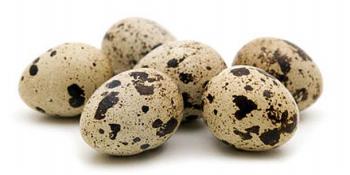 Kako pravilno konzumirati prepeličja jaja