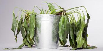 Vratite oronulu biljku u život uz pomoć ova 3 sastojka iz kuhinje!