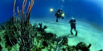 Egipat ljeto 2022-zaronite u svijet koralnih grebena 