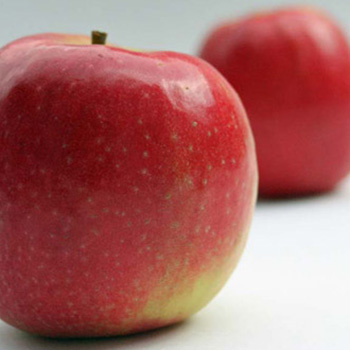 Jabukama protiv kiseline u želucu