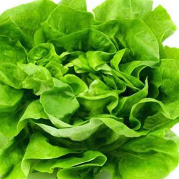 Zelena salata protiv crvenila