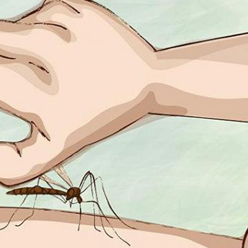 11 načina da ublažite nesnosan svrab poslije ujeda komarca!