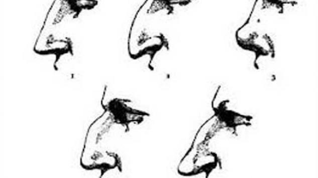 Šta oblik nosa govori o muškarcu?