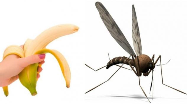 Bananom, lavandom i limunom protiv komaraca