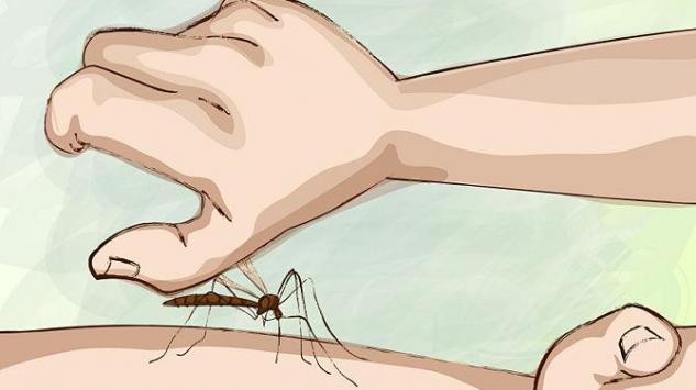 11 načina da ublažite nesnosan svrab poslije ujeda komarca!