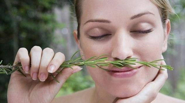 Udisanje mirisa ružmarina može poboljšati pamćenje i za 75%