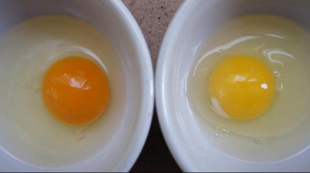 Kako prepoznati jaje od organski uzgajanih kokošaka