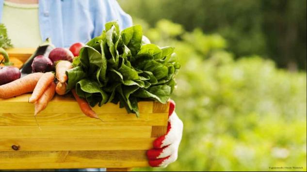 5 stvari o organskoj hrani o kojima se malo zna
